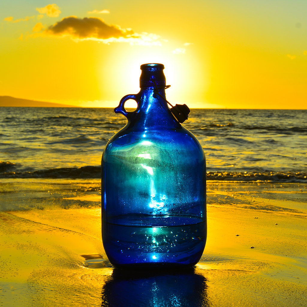 Blue Bottle Love Big (Gallon)