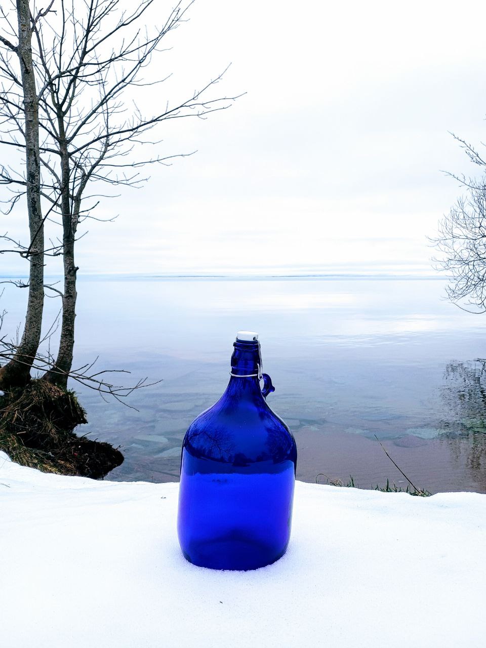 Blue Bottle Love Big (Gallon)