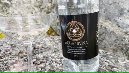 Aqua Divina Spring Water 20 x 50 cl